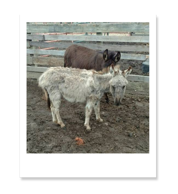 Thumbnail Image 1