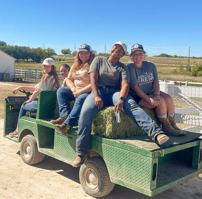 Revving Up Our Farm: A Sanctuary Upgrade