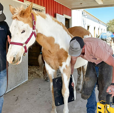 Rosie's Road to Joint Relief