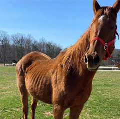 "Hey Girl, HAY!" April 2021