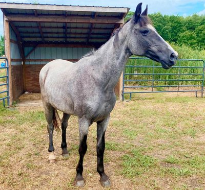 "Hey Girl, HAY!" August 2020