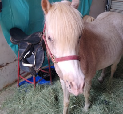 "Hey Girl, HAY!" Summer 2020