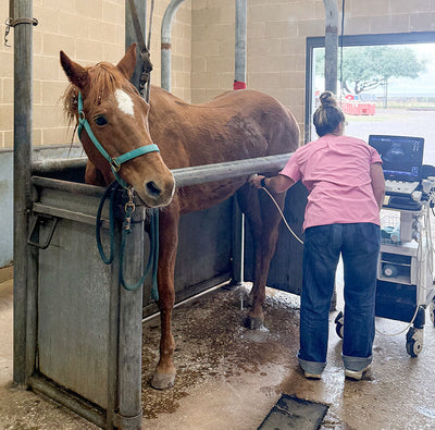 Izzy Update: A Weekend at the Hospital