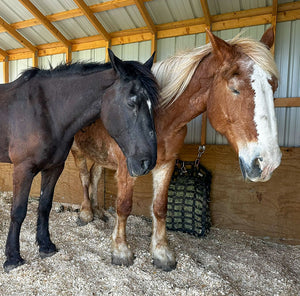 Hope After Heartbreak: Meet Stella & Sabrina