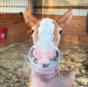 Helping Pegasus Beat the Texas Heat